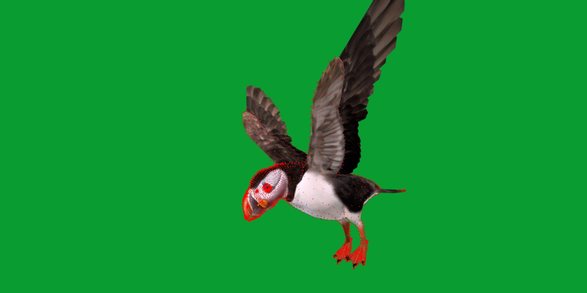 3D Atlantic Puffin Seabird https://p.turbosquid.com/ts-thumb/Xp/M5xYDm/qq/puffin_seabird20/png/1746374995/1920x1080/fit_q87/be6c13a1ac2f22e123f52031e1c3a94fd0c12588/puffin_seabird20.jpg