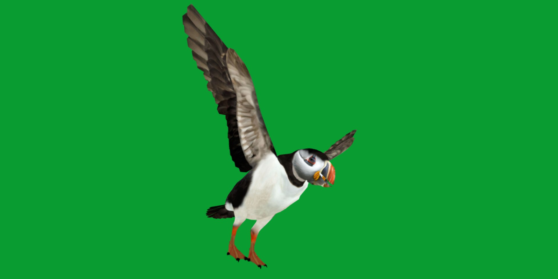 3D Atlantic Puffin Seabird https://p.turbosquid.com/ts-thumb/Xp/M5xYDm/xD/puffin_seabird25/png/1746374998/1920x1080/fit_q87/95e42f287aeffcd916d06ac0710ac4d8ef36494d/puffin_seabird25.jpg