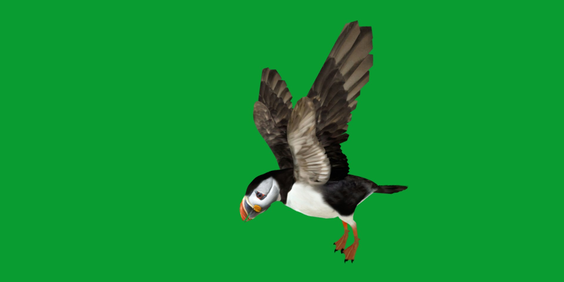 3D Atlantic Puffin Seabird https://p.turbosquid.com/ts-thumb/Xp/M5xYDm/zU/puffin_seabird14/png/1746374992/1920x1080/fit_q87/a2eb9f74990e5256e881c594328dfb6b85e29988/puffin_seabird14.jpg