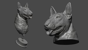 3D Bull Terrier head