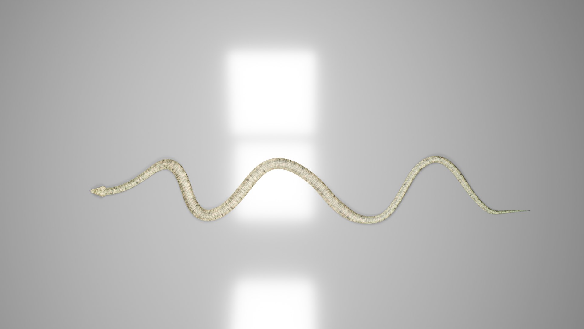 3D Hyper Realistic Snake - TurboSquid 2200573