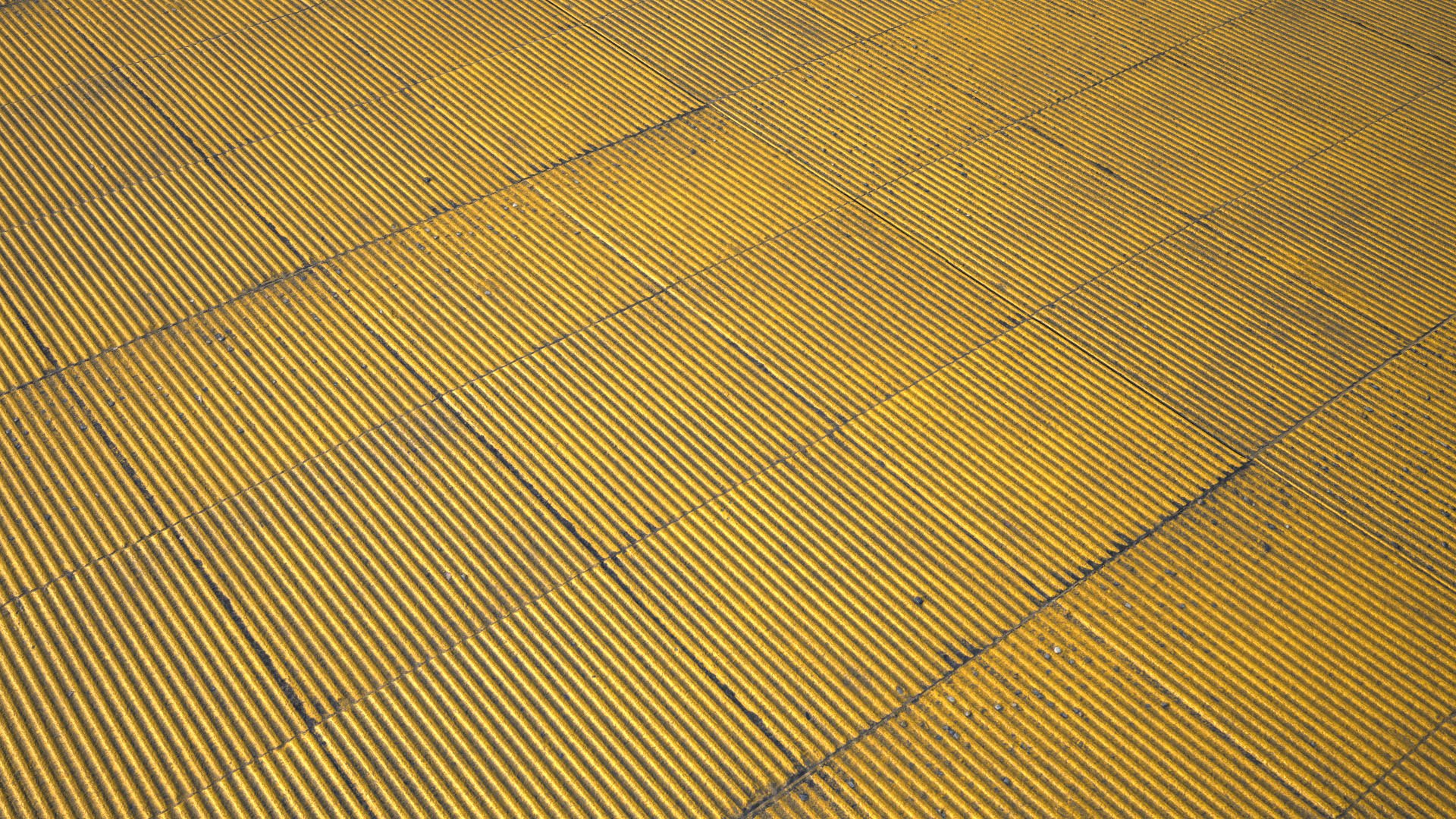 3D pavement scanned tile model https://p.turbosquid.com/ts-thumb/Xp/hHoaPh/LIma47bN/tactiles_render_01/jpg/1507397211/1920x1080/fit_q87/caae75426220d434216aa727db5303c41dea902a/tactiles_render_01.jpg