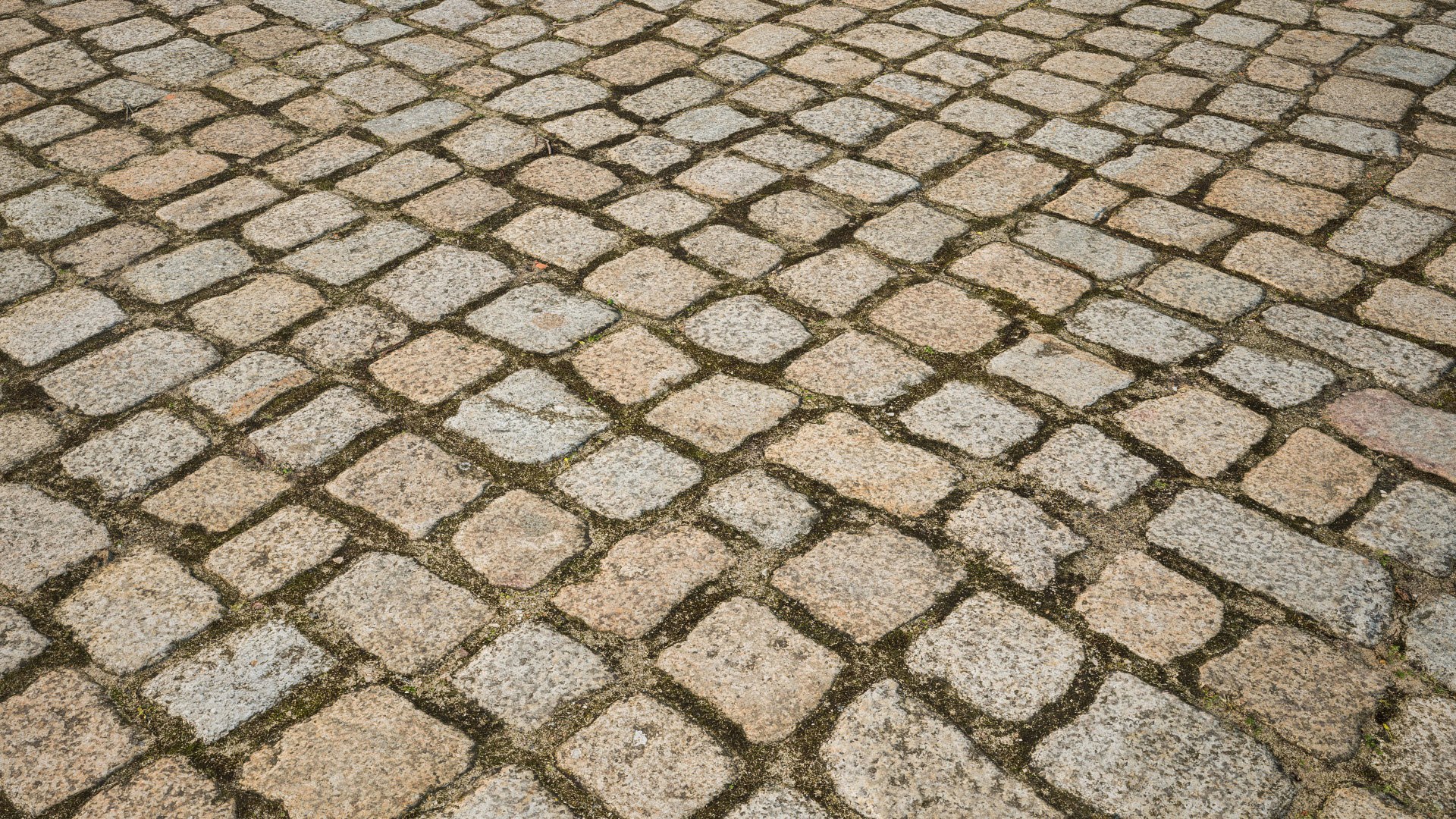 3D pavement scanned tile model https://p.turbosquid.com/ts-thumb/Xp/hHoaPh/yywMubDk/mm_cobblestone_03_render_04/jpg/1507393989/1920x1080/fit_q87/35fe3807207c94c6c264be8db72565b8cb20270c/mm_cobblestone_03_render_04.jpg