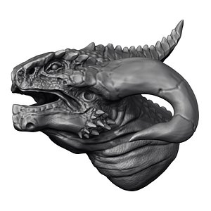 Dragon Head