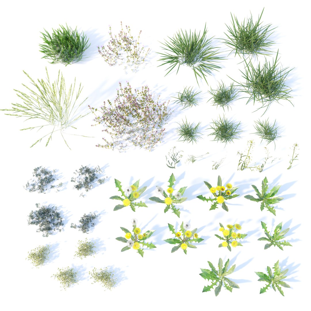 3D Spring Grass https://p.turbosquid.com/ts-thumb/Xp/iU1Cl3/4w/render_4/jpg/1619166159/1920x1080/fit_q87/2a297643fcd87cc1f6c4d9be86d8cbc3efbf332b/render_4.jpg