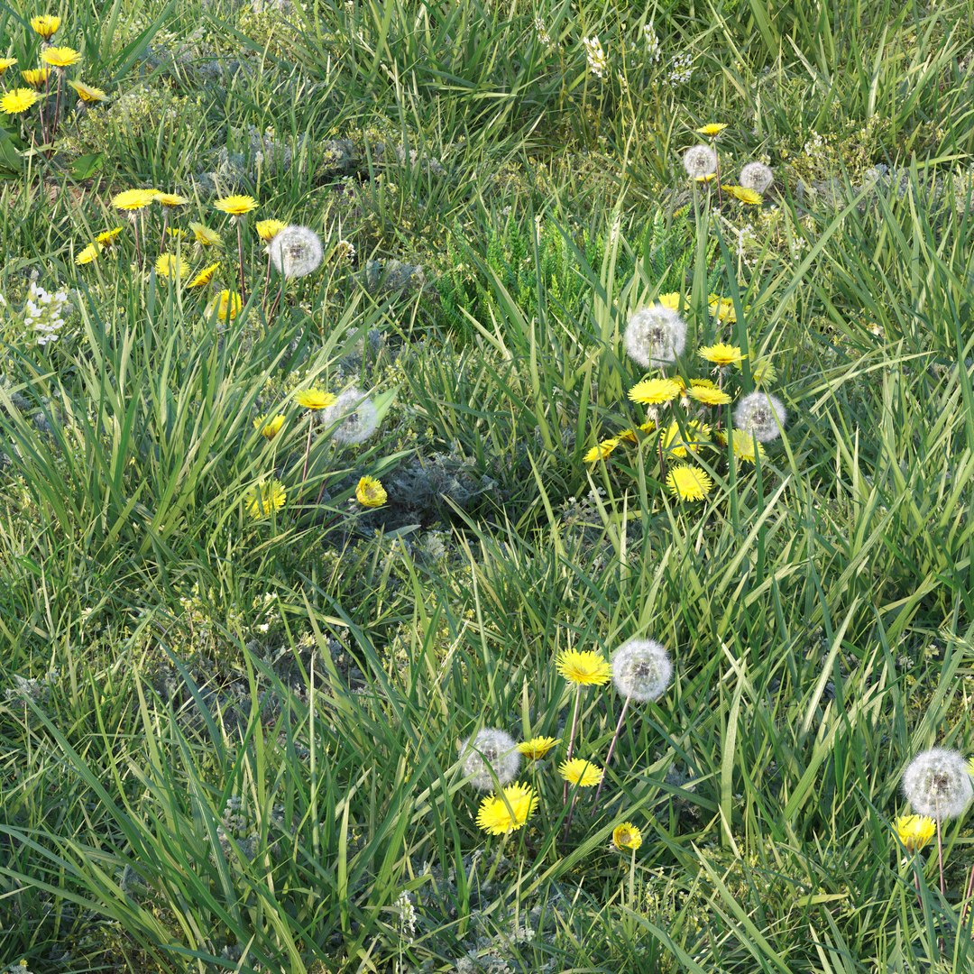 3D Spring Grass https://p.turbosquid.com/ts-thumb/Xp/iU1Cl3/8E/render_5/jpg/1619166158/1920x1080/fit_q87/b4be5c4422b588472b9b698c9785d89bab8a0f0e/render_5.jpg