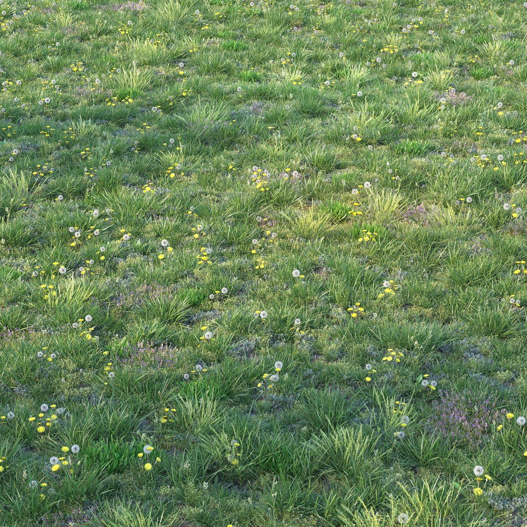 3D Spring Grass https://p.turbosquid.com/ts-thumb/Xp/iU1Cl3/nV/render_3/jpg/1619166160/1920x1080/fit_q87/99bbec0e53d7e0428818dee1277a46feb0315c91/render_3.jpg