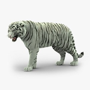 White Tiger (5) (RIG) (Fur)