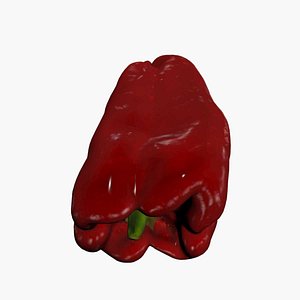 Red Pepper Scan High Quality 3D model