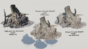 Tree Photo-scan Re-Typologies Low poly Mid poly and Raw photo-scan model