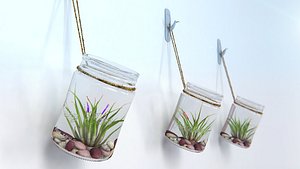 3d creative air plant wall