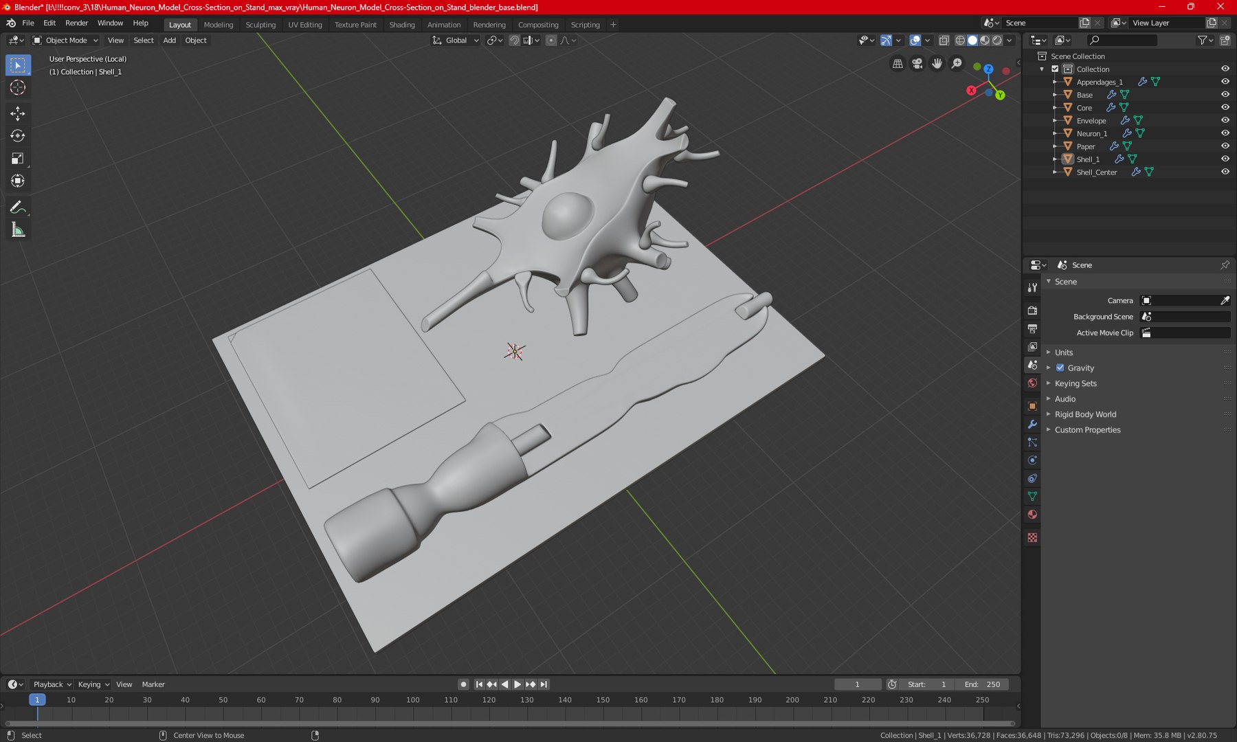 3D model Human Neuron Model Cross-Section on Stand - TurboSquid 2060147