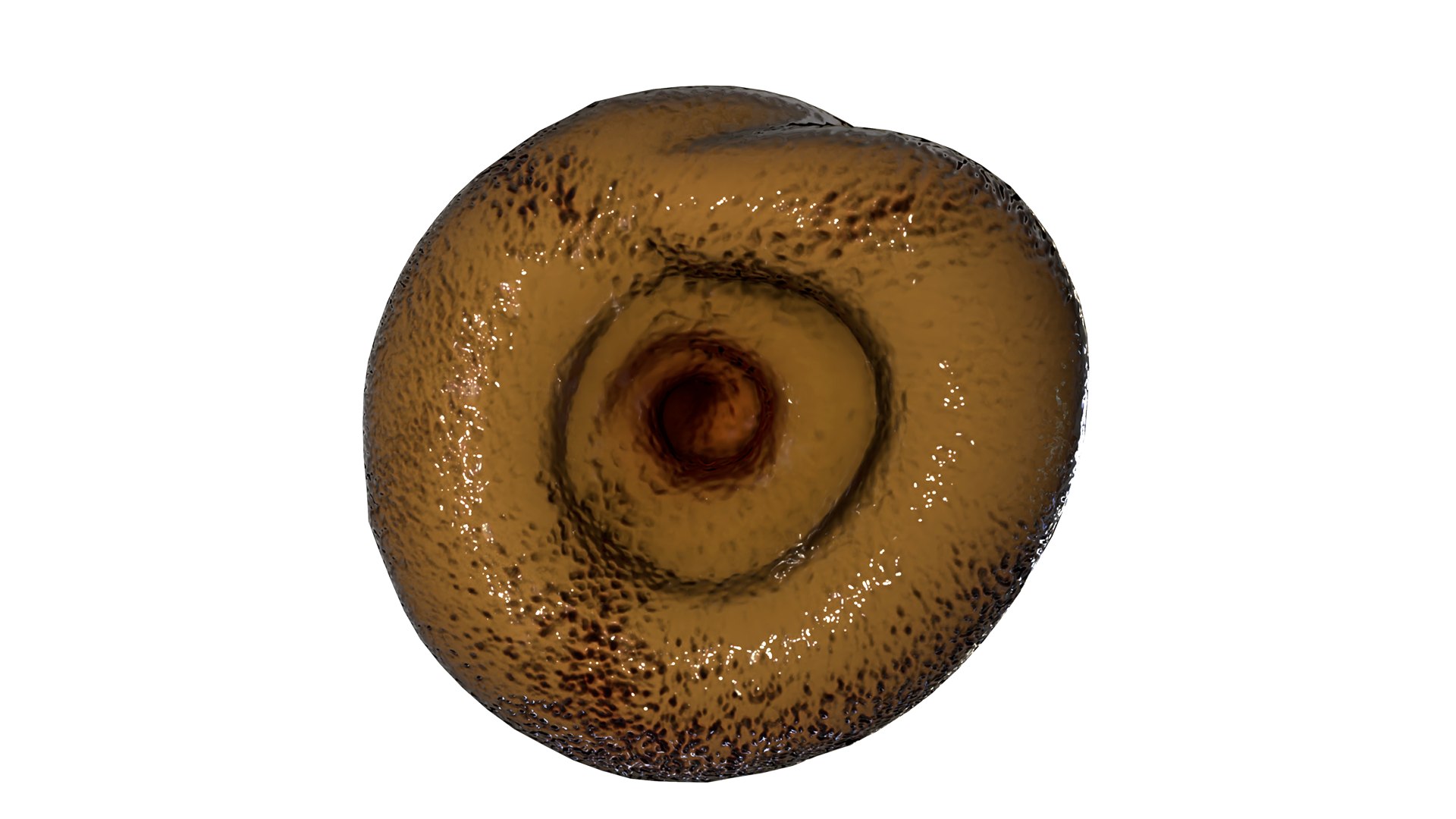 feces 3D https://p.turbosquid.com/ts-thumb/Xq/XAqnsP/yUEKH8zy/6/png/1580483138/1920x1080/fit_q87/0b6209c6edeabadec8c36f45111f7e0cd0fe34c9/6.jpg