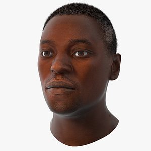 Handsome African American Male Head Rigged 3D