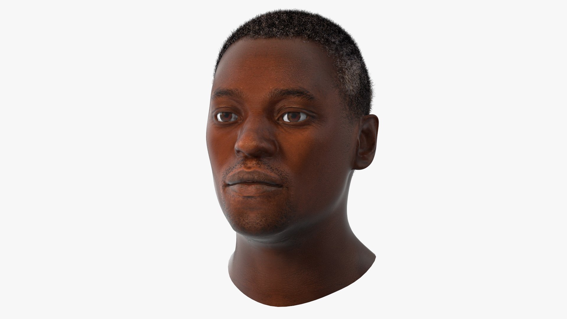 Handsome African American Male Head Rigged 3D model preview