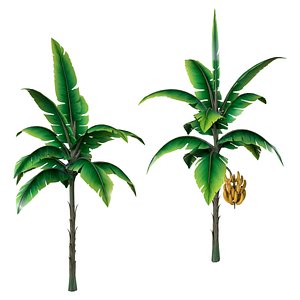 Banana Tree V1  Tropical Vegetation Game Ready PBR