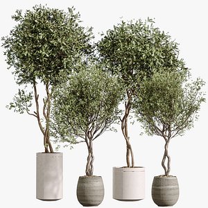 3D AV Indoor Plants Set 323 Olive Artificial Tree model
