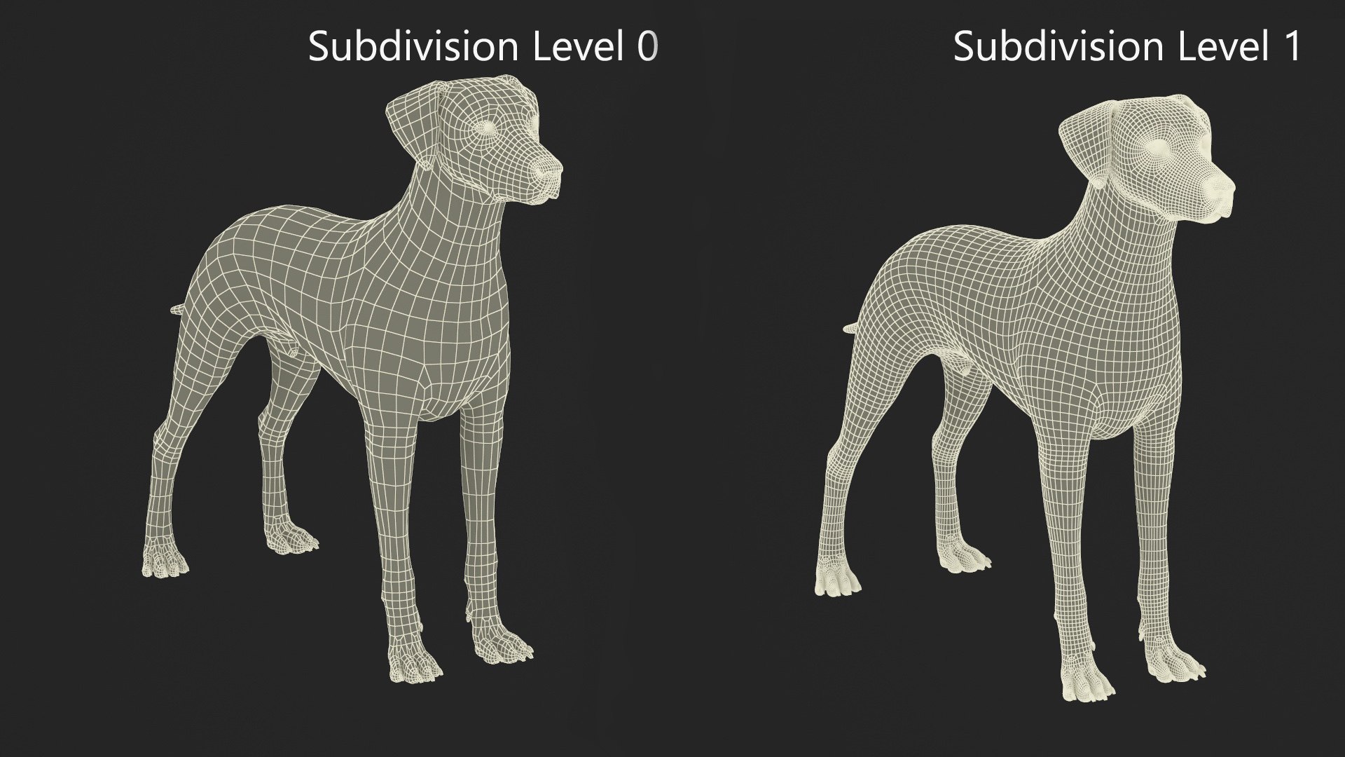 Spotted Dalmatian Dog Fur Rigged 3D model https://p.turbosquid.com/ts-thumb/Xq/l9knKR/wd/spotted_dalmatian_dog_fur_rigged_020/jpg/1746172267/1920x1080/fit_q87/d3b9f2188ece4a5d9eeebffc59d71c96e06c1d22/spotted_dalmatian_dog_fur_rigged_020.jpg