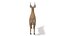 Low Poly Cartoon African Animals Collection