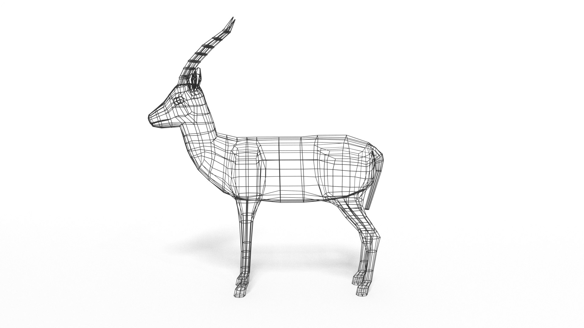 african animals 3D model https://p.turbosquid.com/ts-thumb/Xq/oKk6Qy/FAMOeuVp/thompsongazelle16wire/png/1569677208/1920x1080/fit_q87/97a211be7aa906e93a6a1dce2d7e67cb9f45f9cf/thompsongazelle16wire.jpg
