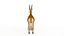 Low Poly Cartoon African Animals Collection