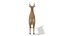 Low Poly Cartoon African Animals Collection