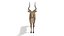 Low Poly Cartoon African Animals Collection