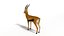 Low Poly Cartoon African Animals Collection
