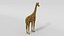 Low Poly Cartoon African Animals Collection