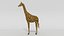 Low Poly Cartoon African Animals Collection