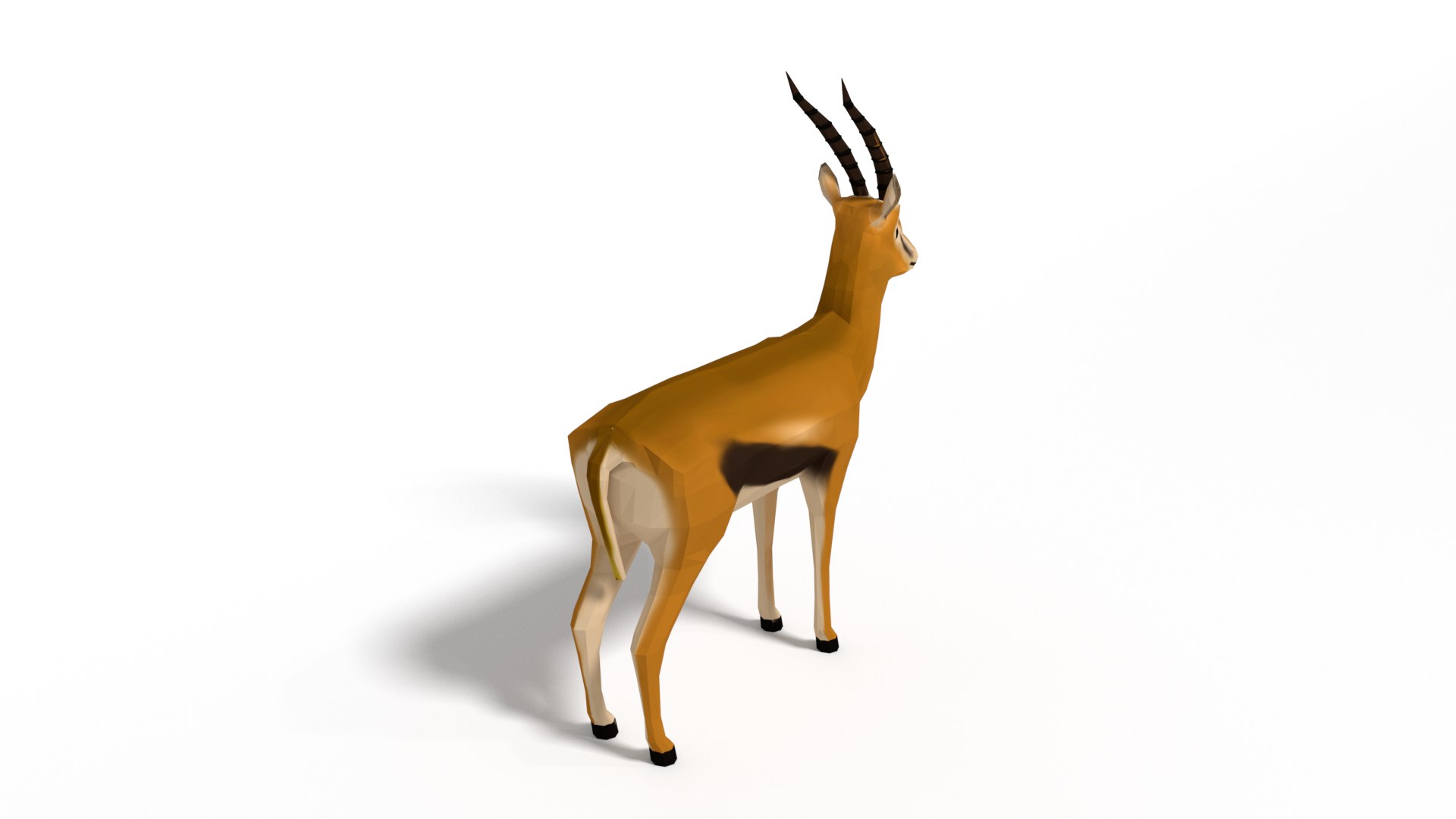 african animals 3D model https://p.turbosquid.com/ts-thumb/Xq/oKk6Qy/qauH8wDe/thompsongazelle04/png/1569677208/1920x1080/fit_q87/581d1a09fb514d377036bc417d57e79d10c2c3cc/thompsongazelle04.jpg