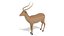 Low Poly Cartoon African Animals Collection