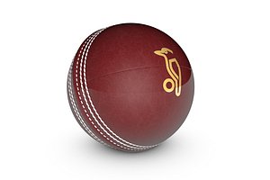 Cricket ball