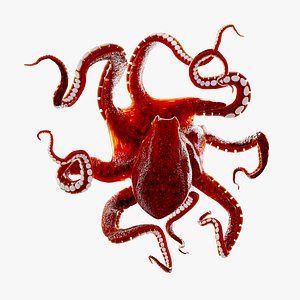 Rigged Moon Animation For Roblox Studio 3D Models For Download | TurboSquid