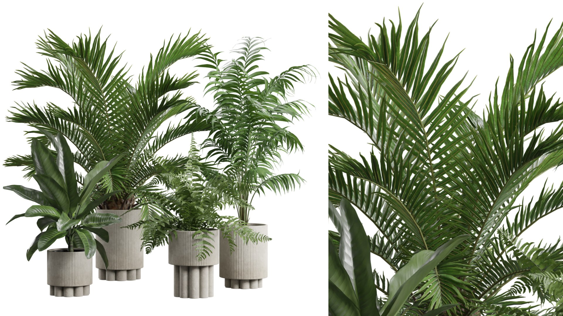3D Indoor Plants Pack 76 https://p.turbosquid.com/ts-thumb/Xr/7jsnEz/QW/preview02_ts_0000/jpg/1724722296/1920x1080/fit_q87/c3d10ba9959f350d7f081606d2f25a854b326af4/preview02_ts_0000.jpg