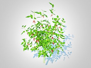 3D Chilli Pepper-red model