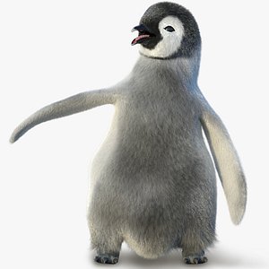 Emperor Penguin Chick