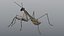 Praying Mantis - Rigged PBR