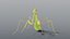 Praying Mantis - Rigged PBR