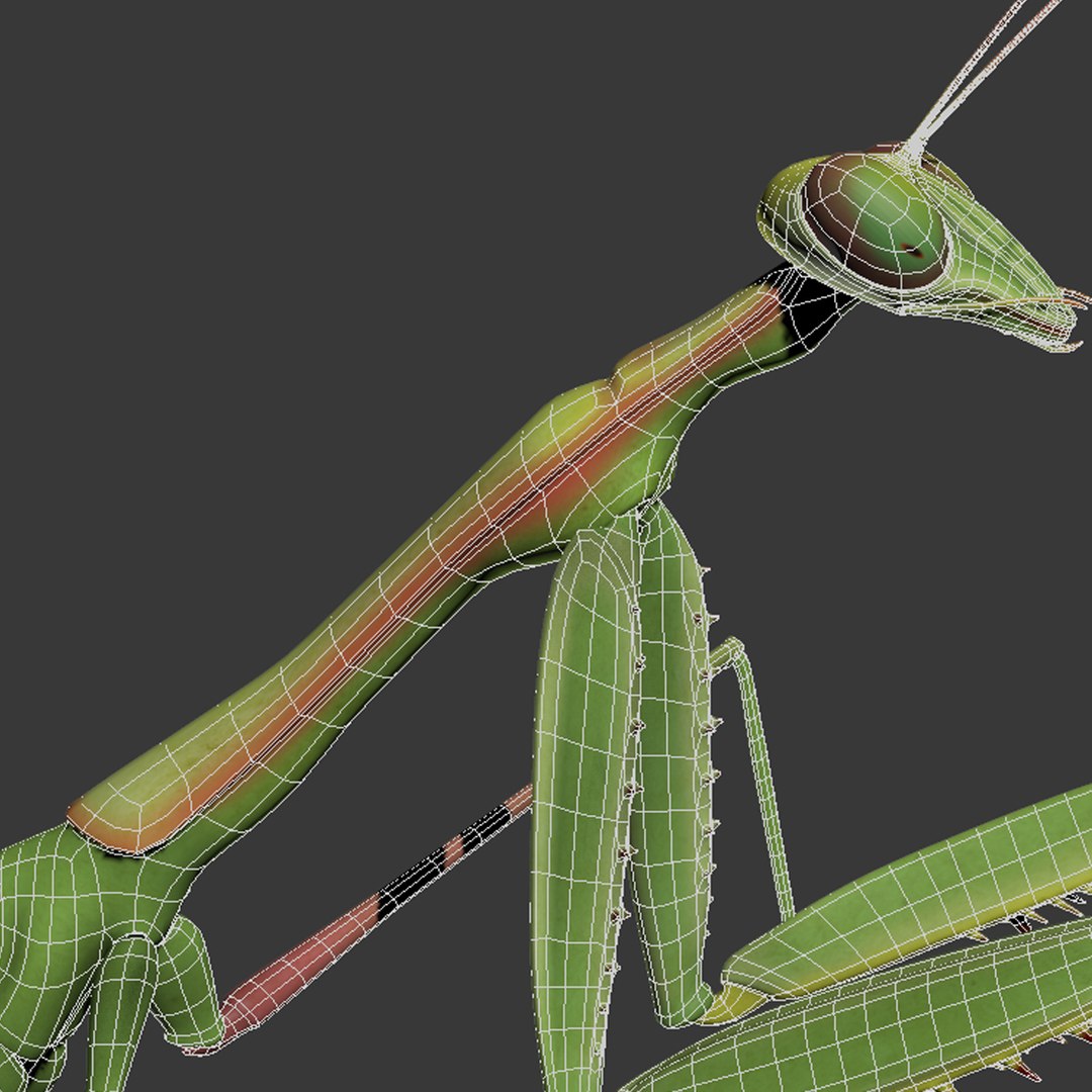 praying mantis rigged max
