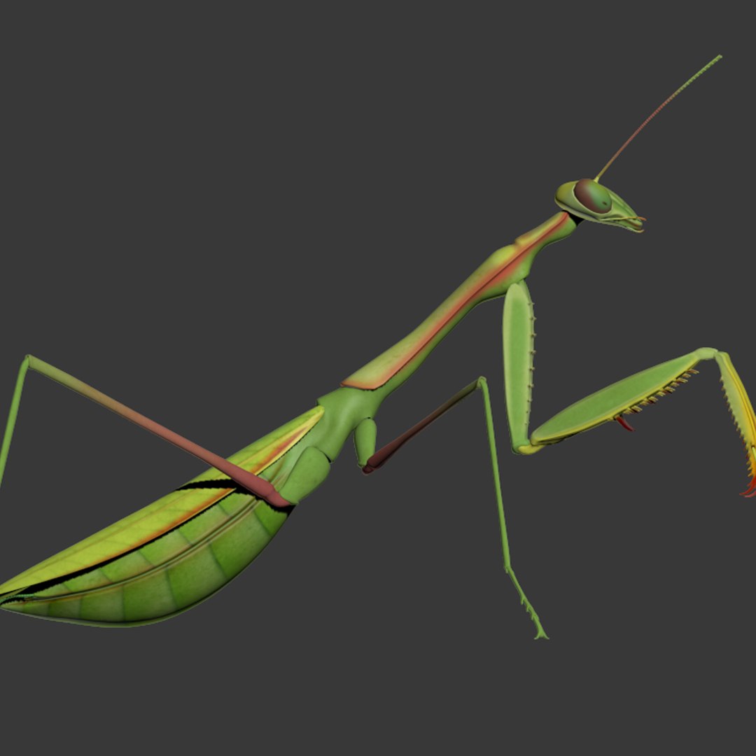 praying mantis rigged max