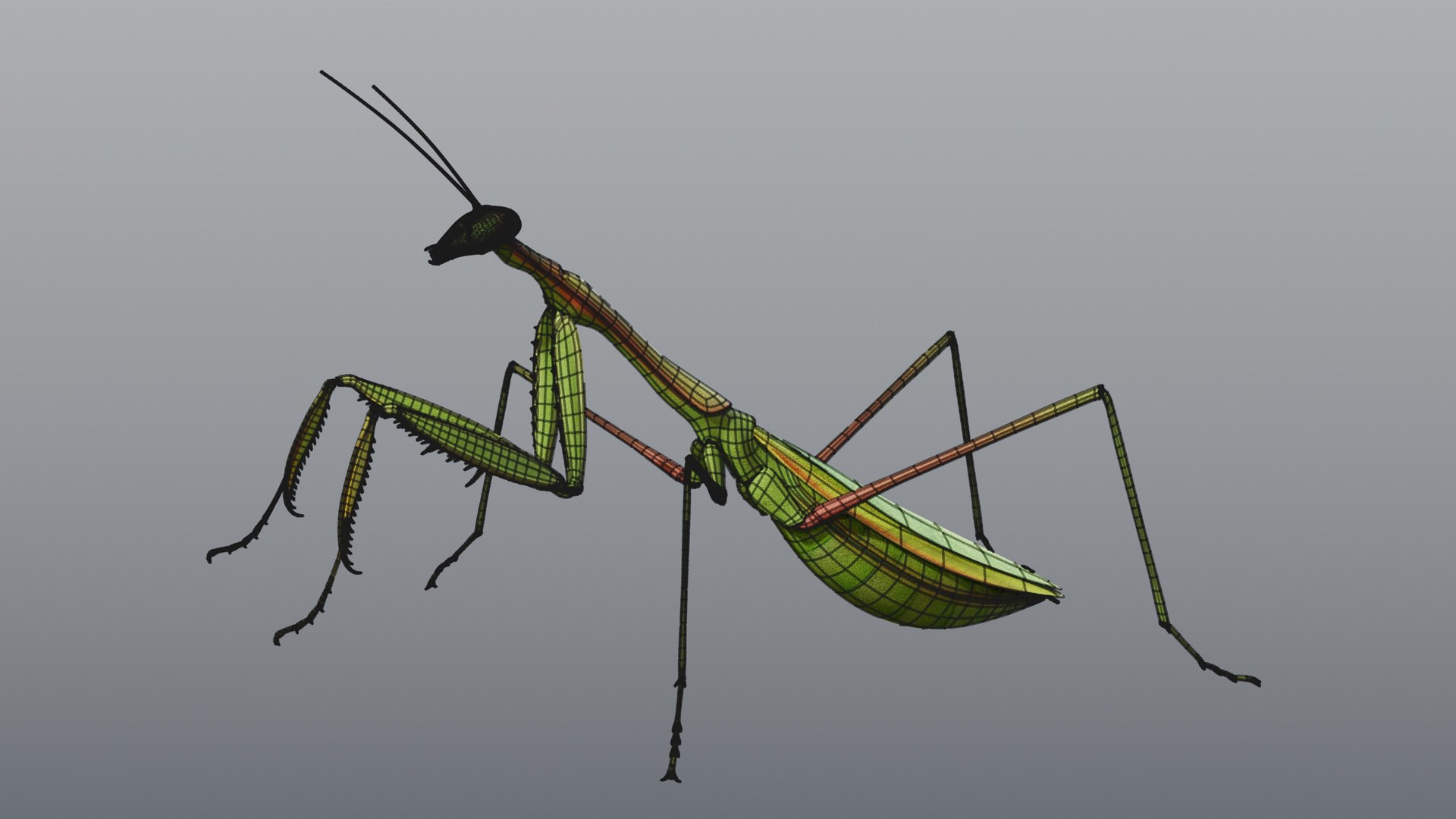 praying mantis rigged max https://p.turbosquid.com/ts-thumb/Xr/TbSoix/KH/08_mantis_08_wire/jpg/1791083100/1920x1080/fit_q87/0488dcbd462b1f2571f02208eeb8100bcfed9fa4/08_mantis_08_wire.jpg