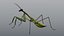 Praying Mantis - Rigged PBR