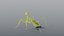 Praying Mantis - Rigged PBR