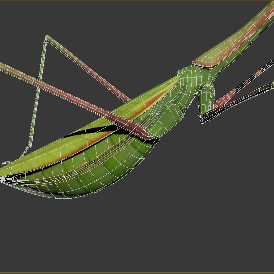 praying mantis rigged max