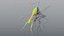 Praying Mantis - Rigged PBR