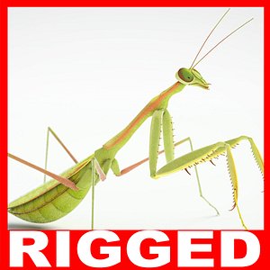 praying mantis rigged max