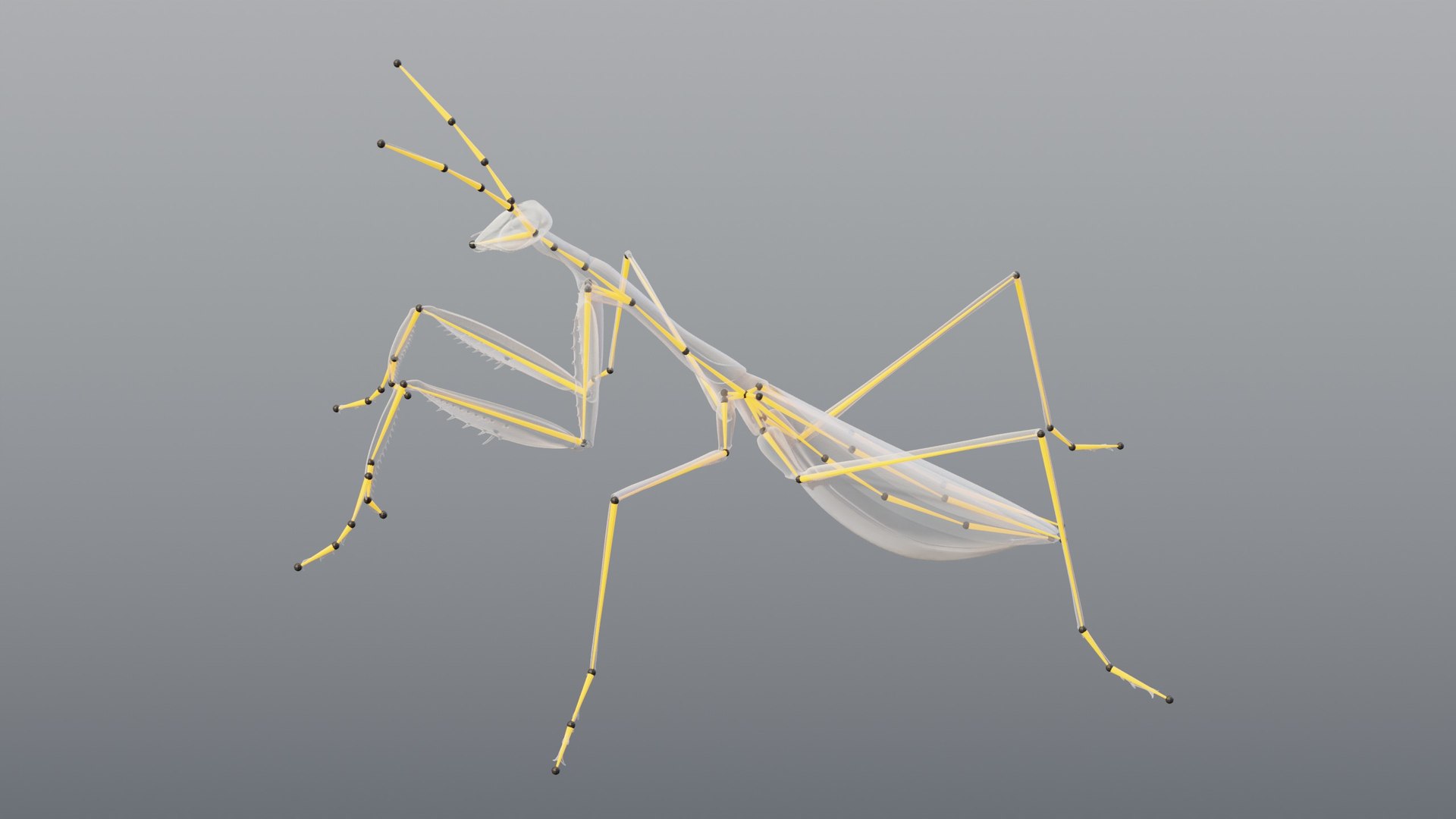 praying mantis rigged max https://p.turbosquid.com/ts-thumb/Xr/TbSoix/jJ/11_mantis_11_rig/jpg/1791083130/1920x1080/fit_q87/50190ff1e9f9b968a1cb84e8ecaa30e610dc38ce/11_mantis_11_rig.jpg
