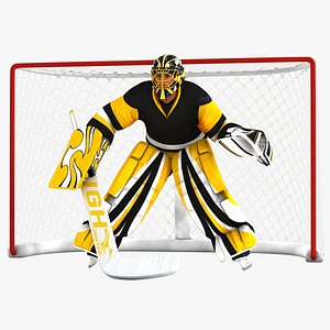 hockey goal 3D