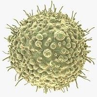 Cancer Cell